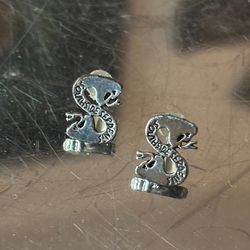 Silver Snake Earrings